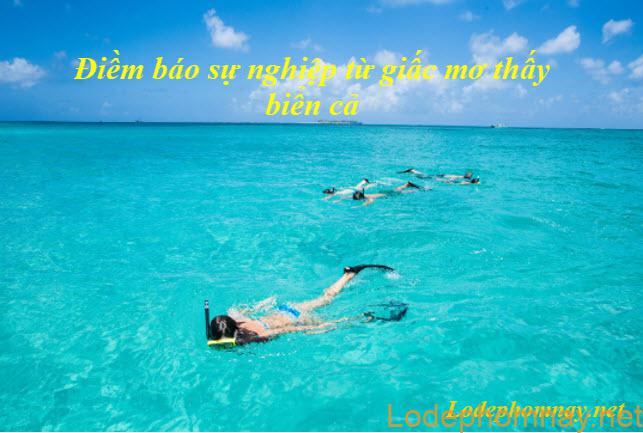 Mơ một vùng biển rộng lớn báo hiệu điều gì? Mơ một vùng biển rộng lớn báo hiệu điều gì?