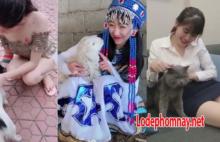 nằm mơ thấy mèo vàng