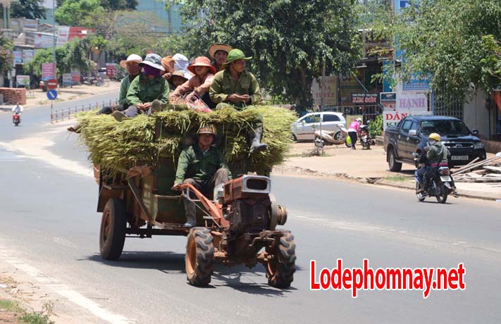 mơ thấy xe công nông